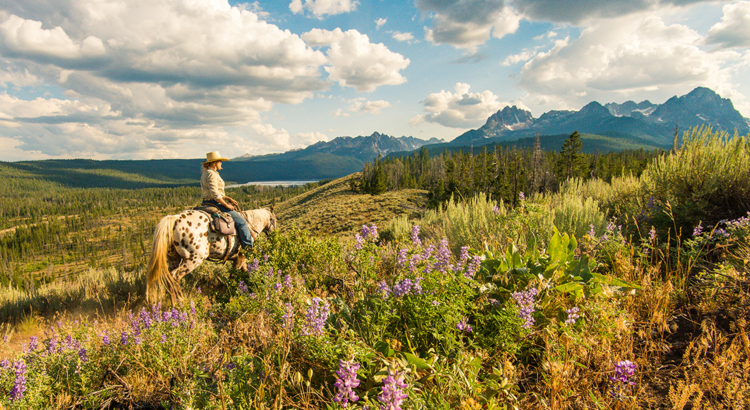 USA Idaho Reiterin Redfish Lake Stanley Idaho Foto Idaho Tourism